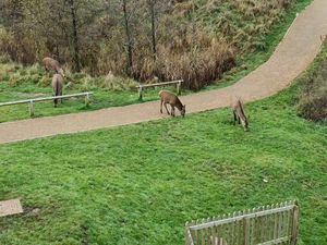 Photo 1- click for photo gallery